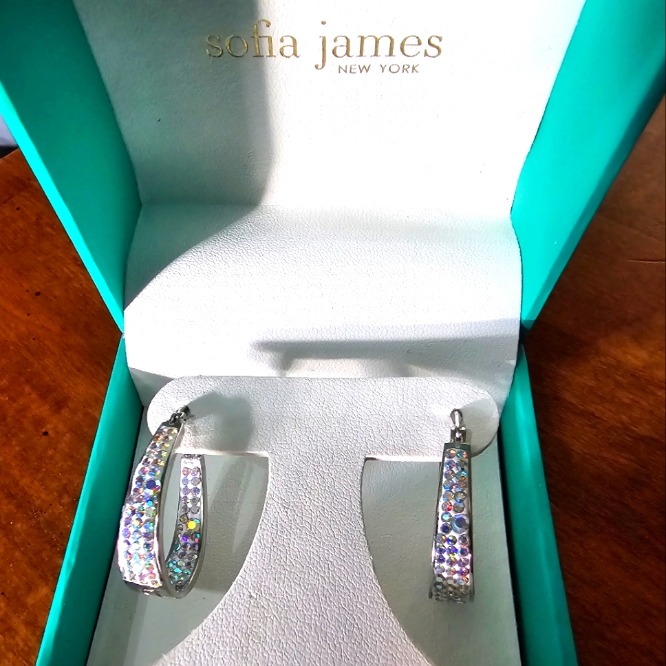 Sofia James Oval Hoops